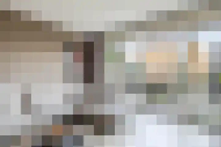 Zoetemanring 1 a Zuidland thumbnail 13