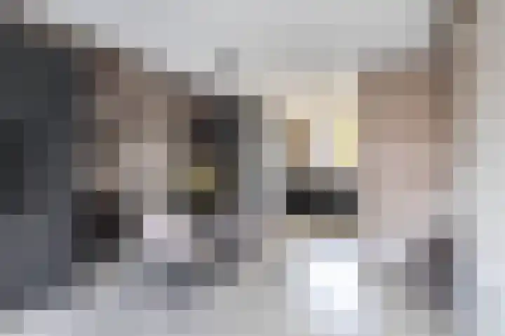 Zoetemanring 1 a Zuidland thumbnail 14