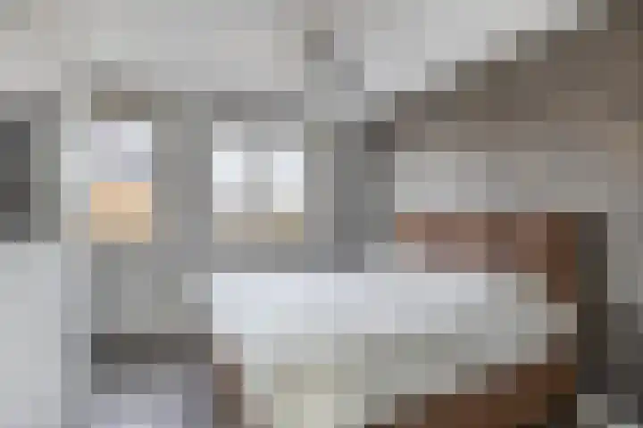 Zoetemanring 1 a Zuidland thumbnail 20