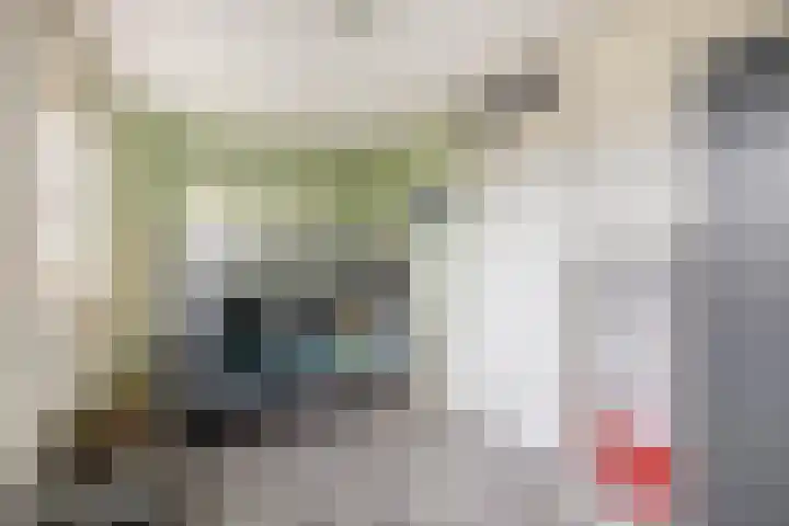 Zoetemanring 1 a Zuidland thumbnail 23