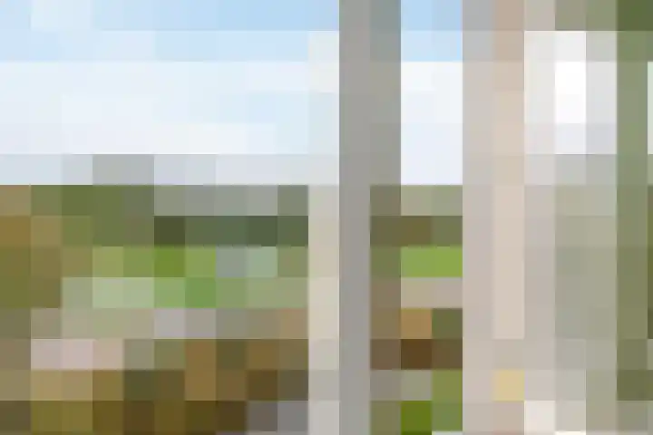 Zoetemanring 1 a Zuidland thumbnail 24