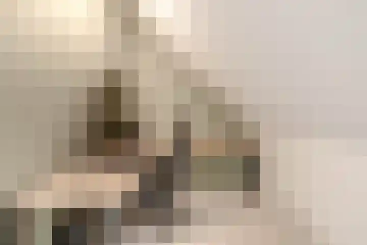 Zoetemanring 1 a Zuidland thumbnail 29