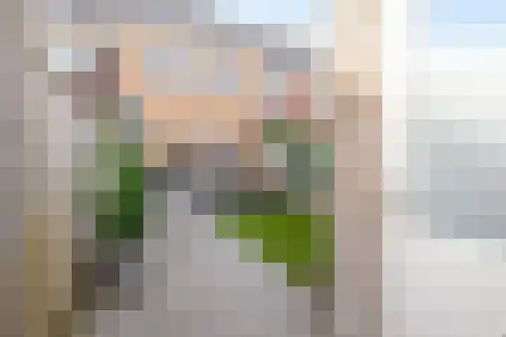 Zoetemanring 1 a Zuidland thumbnail 35