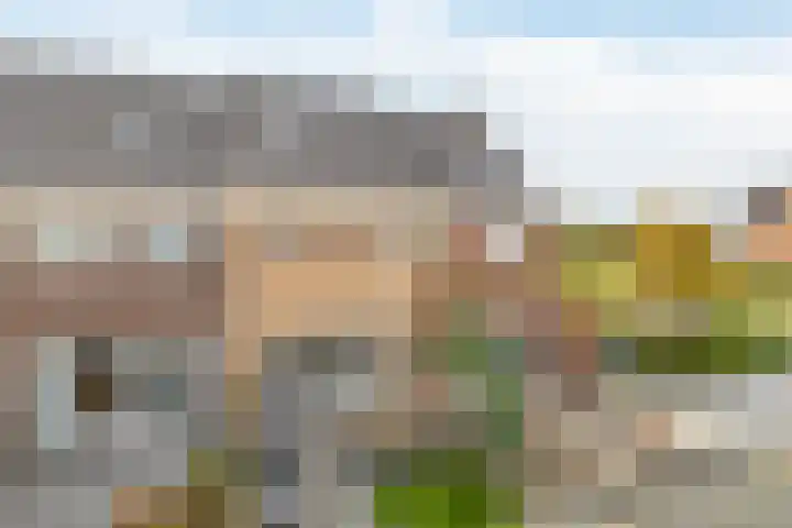 Zoetemanring 1 a Zuidland thumbnail 37