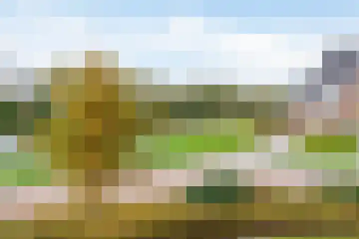 Zoetemanring 1 a Zuidland thumbnail 38