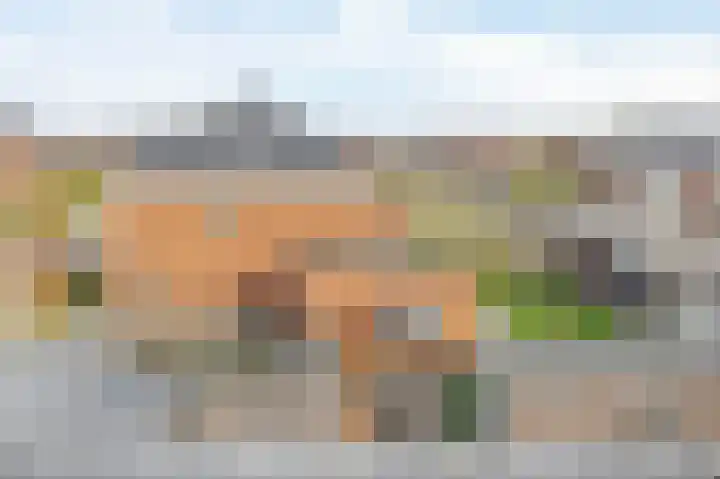Zoetemanring 1 a Zuidland thumbnail 39
