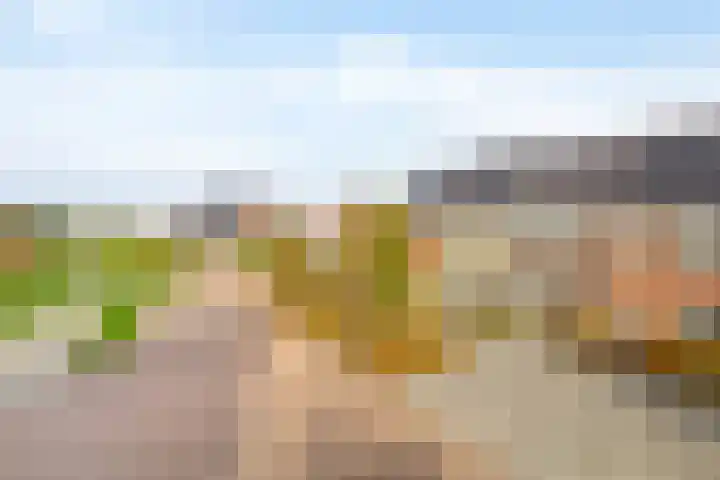 Zoetemanring 1 a Zuidland thumbnail 40