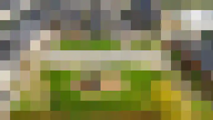 Zoetemanring 1 a Zuidland thumbnail 42