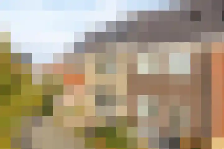 Zoetemanring 1 a Zuidland thumbnail 5