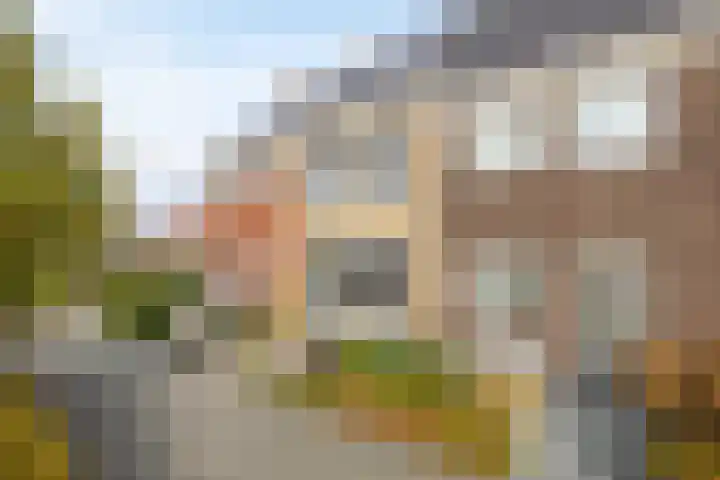 Zoetemanring 1 a Zuidland thumbnail 6