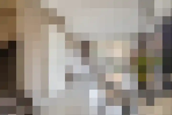 Zoetemanring 1 a Zuidland thumbnail 9