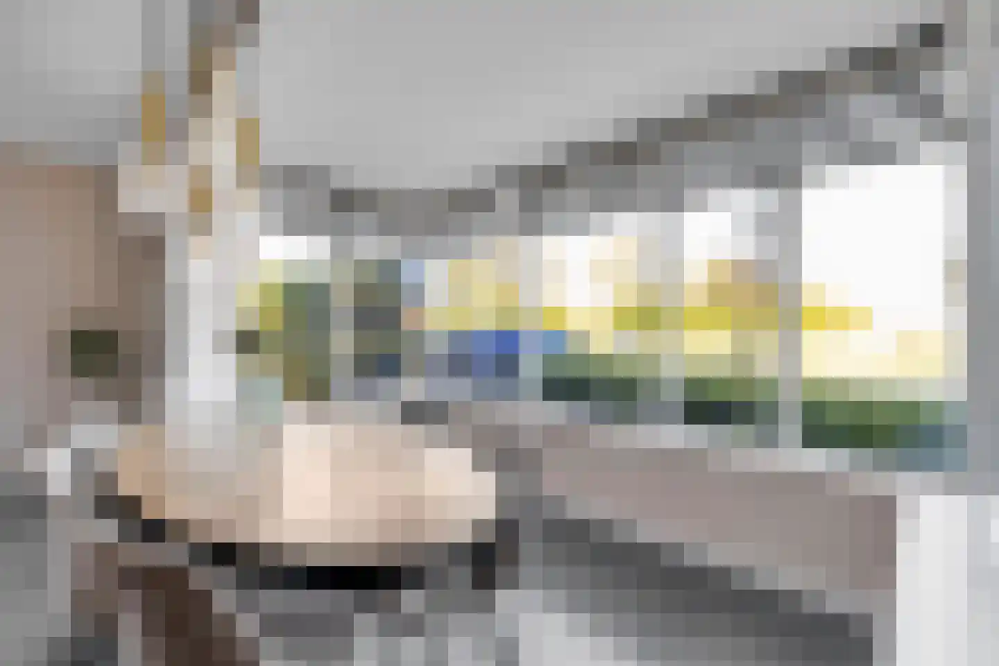 Zoetemanring 2 Zuidland thumbnail 15