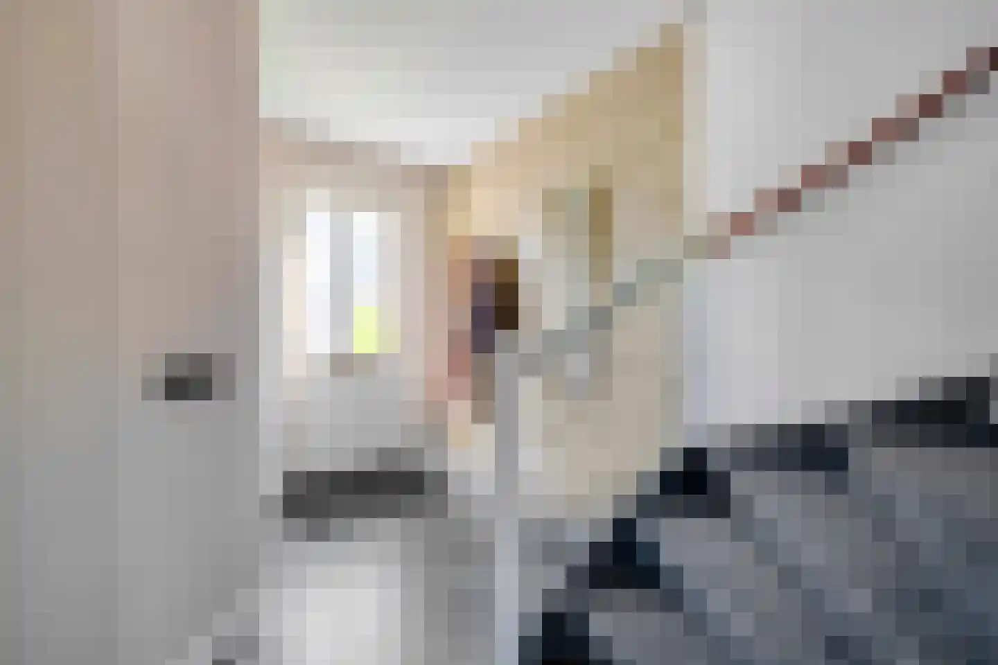 Zoetemanring 2 Zuidland thumbnail 18