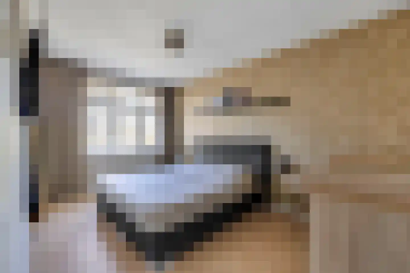 Zoetemanring 2 Zuidland thumbnail 20