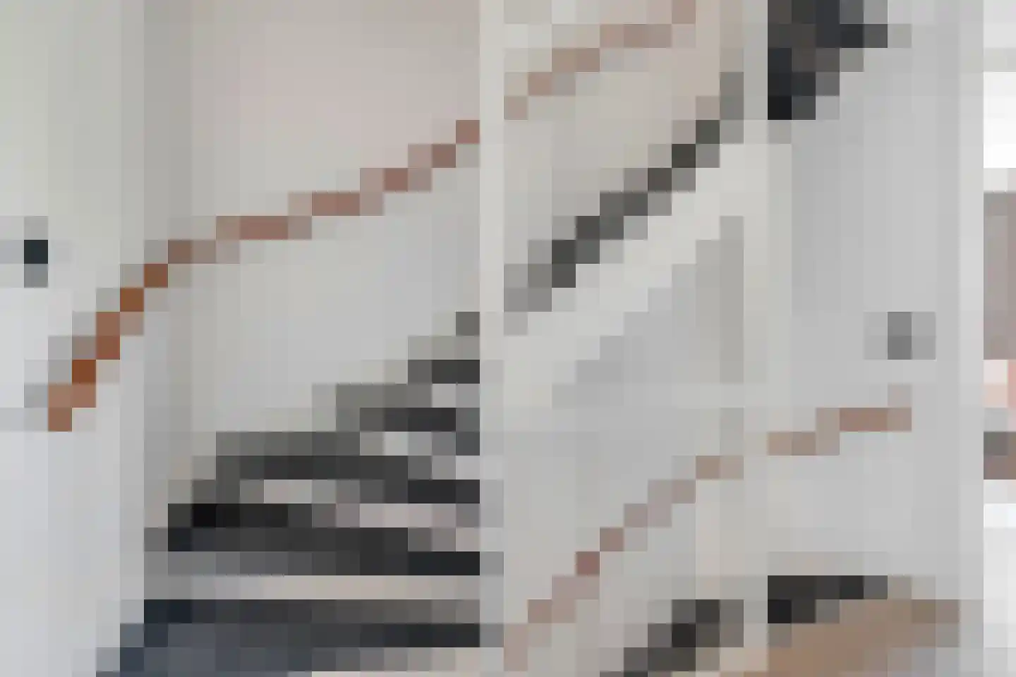 Zoetemanring 2 Zuidland thumbnail 26