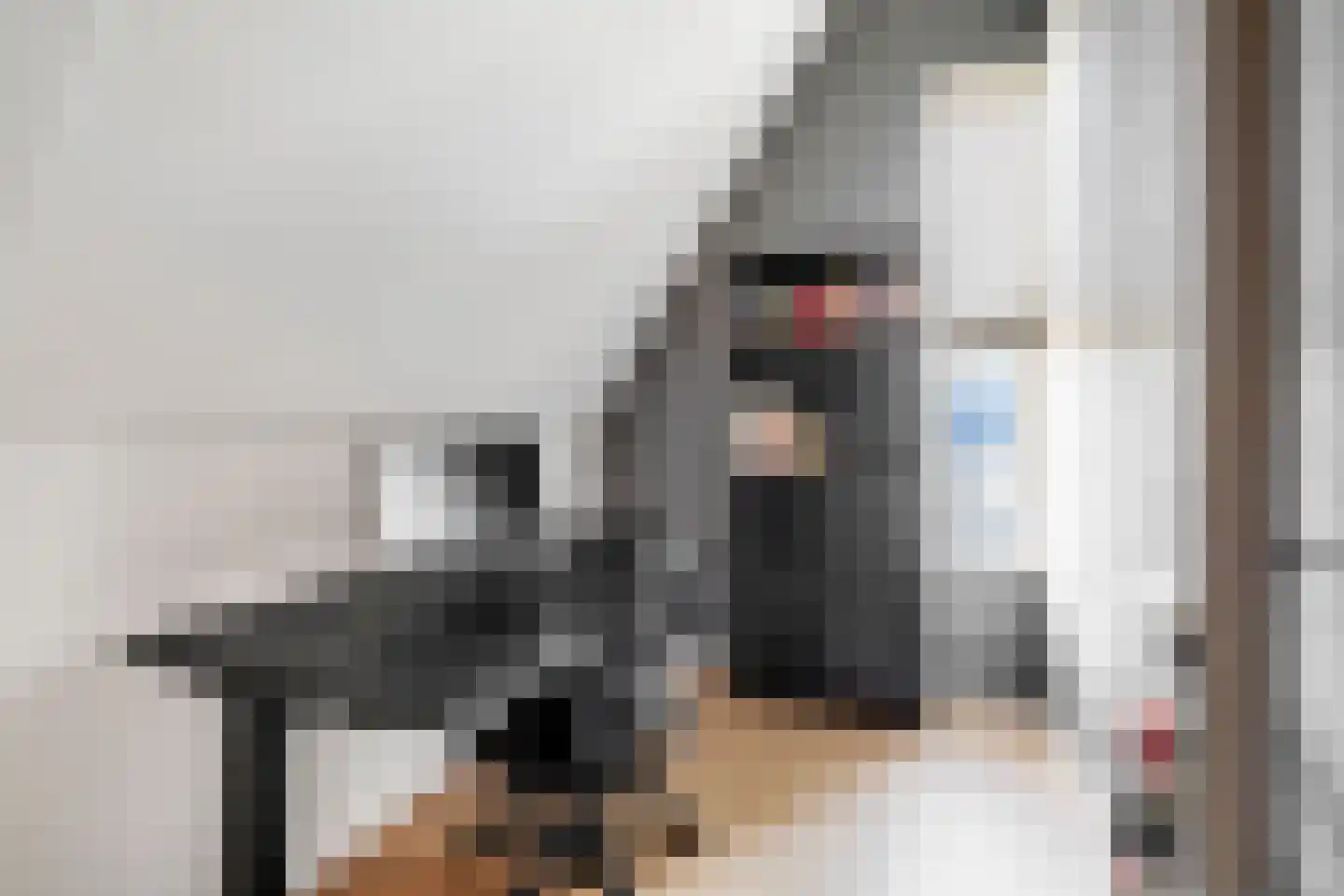 Zoetemanring 2 Zuidland thumbnail 31