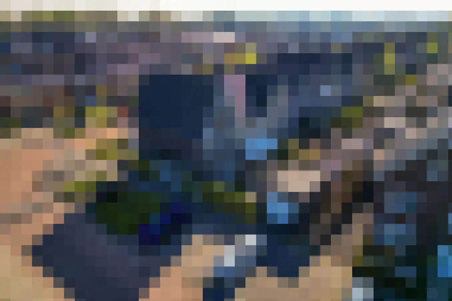 Zoetemanring 2 Zuidland thumbnail 38