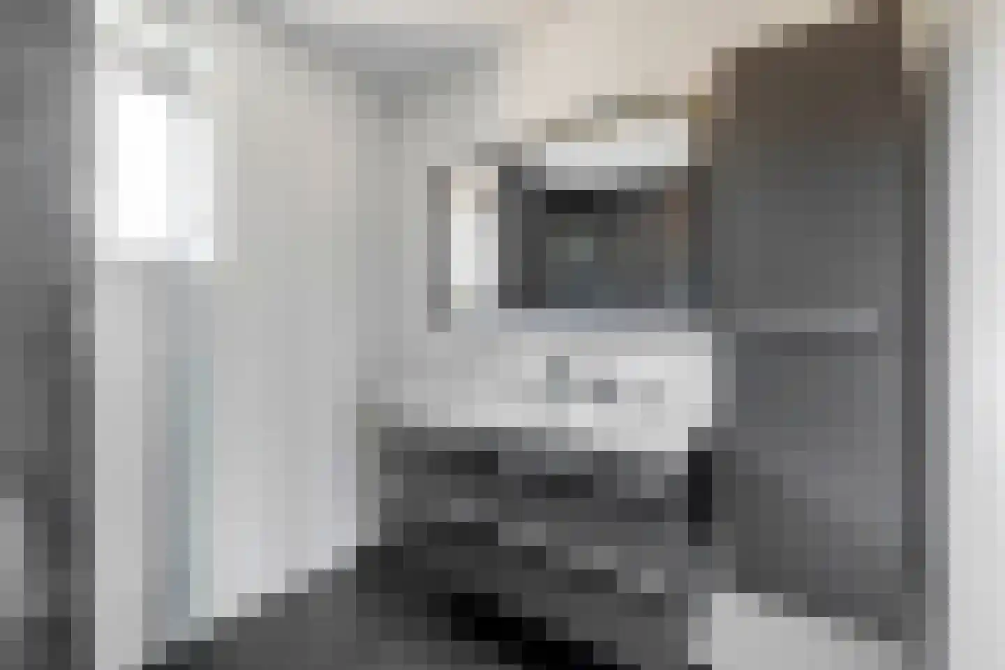 Zoetemanring 2 Zuidland thumbnail 4