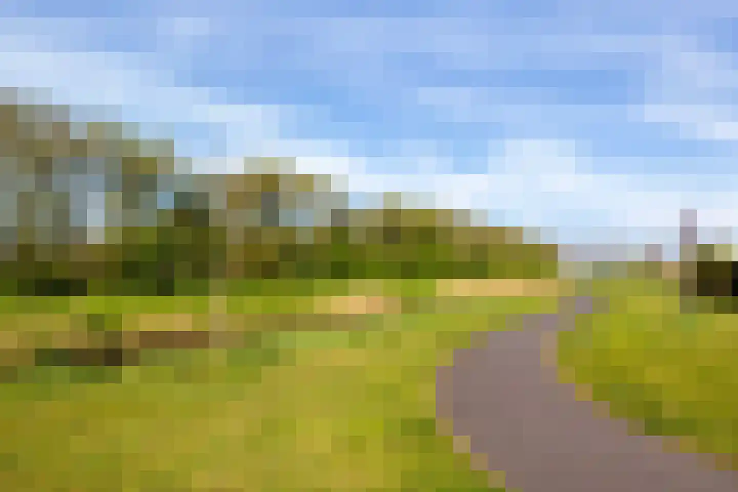 Zoetemanring 2 Zuidland thumbnail 42