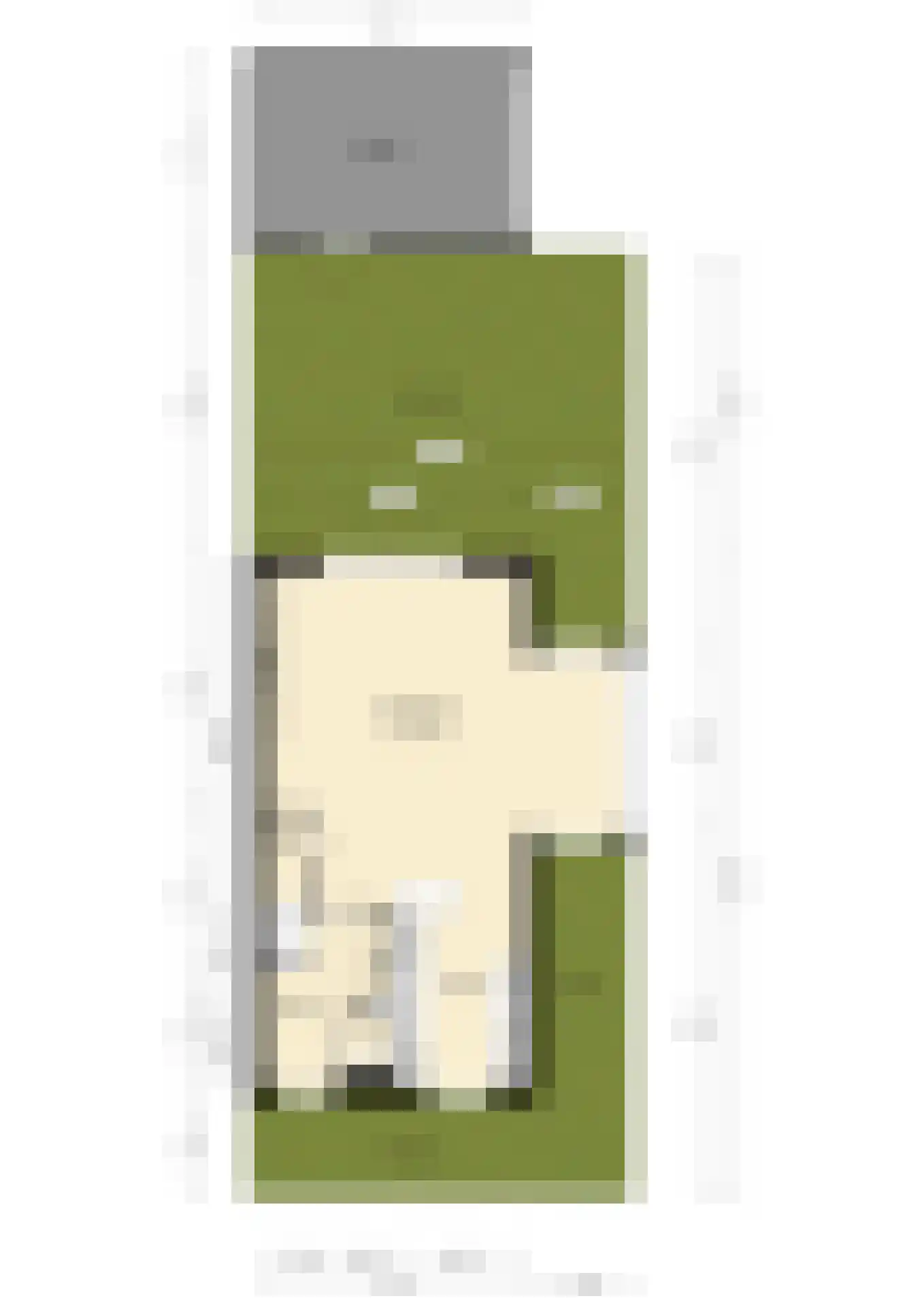 Zoetemanring 2 Zuidland thumbnail 47