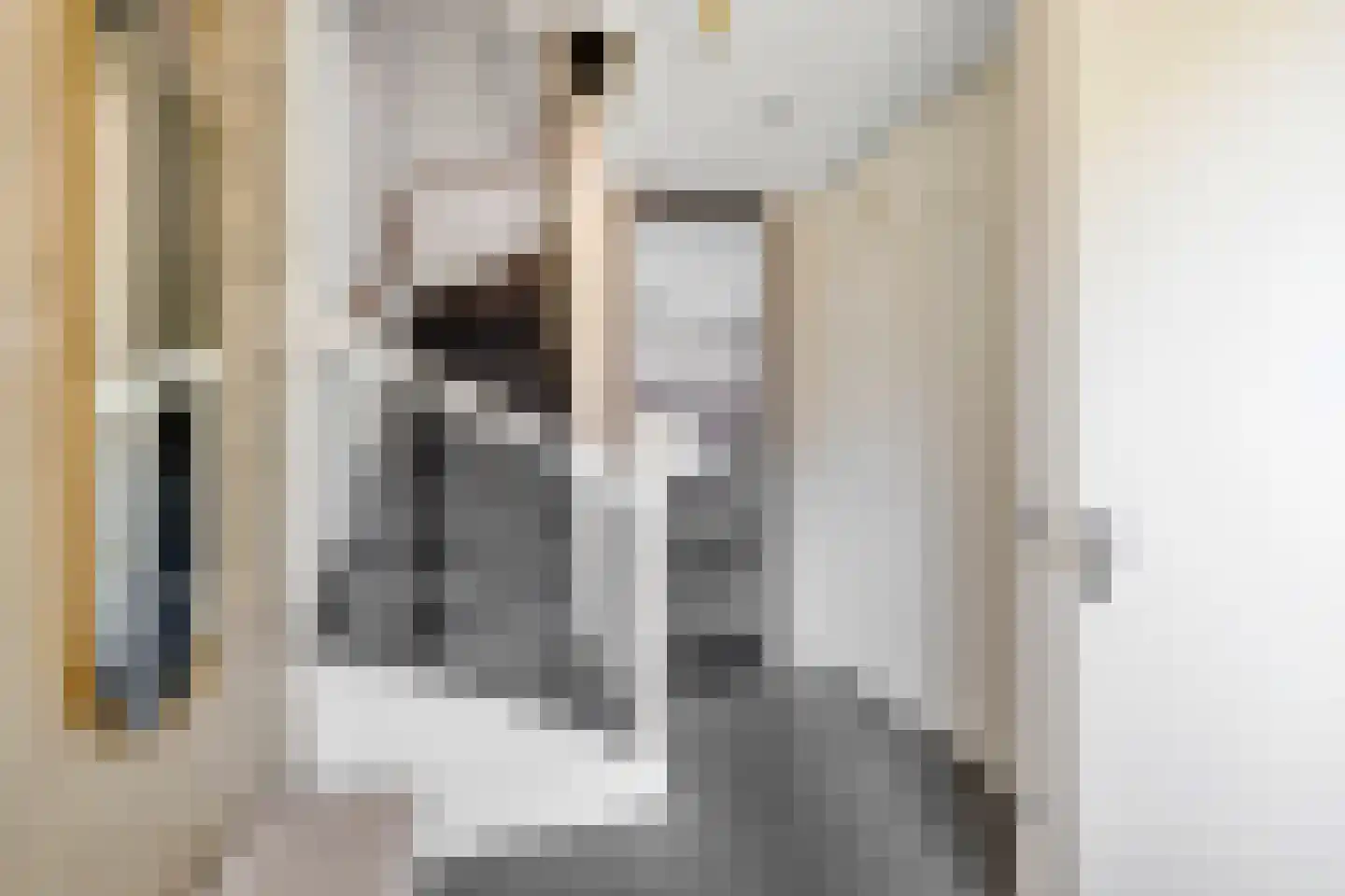 Zoetemanring 2 Zuidland thumbnail 7