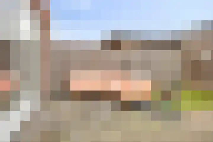 Zoetemanring 53 Zuidland thumbnail 25