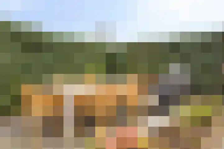Zoetemanring 53 Zuidland thumbnail 26