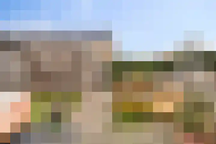 Zoetemanring 53 Zuidland thumbnail 27