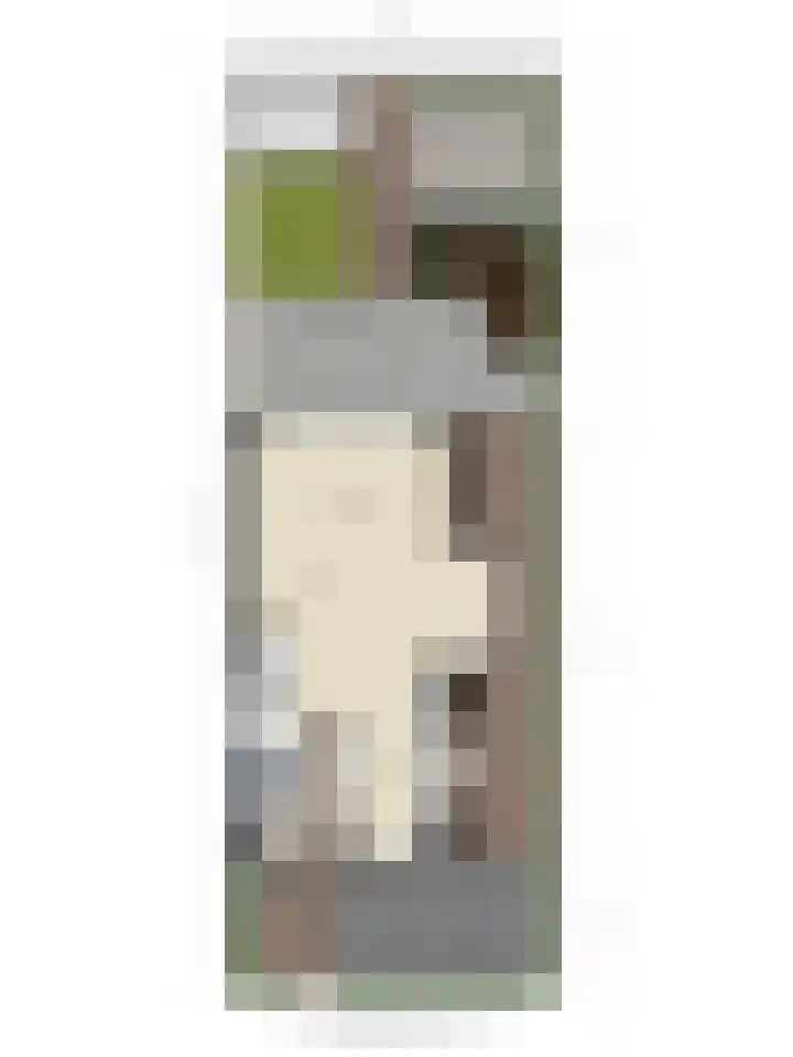 Zoetemanring 53 Zuidland thumbnail 35