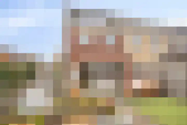 Zoetemanring 53 Zuidland thumbnail 5