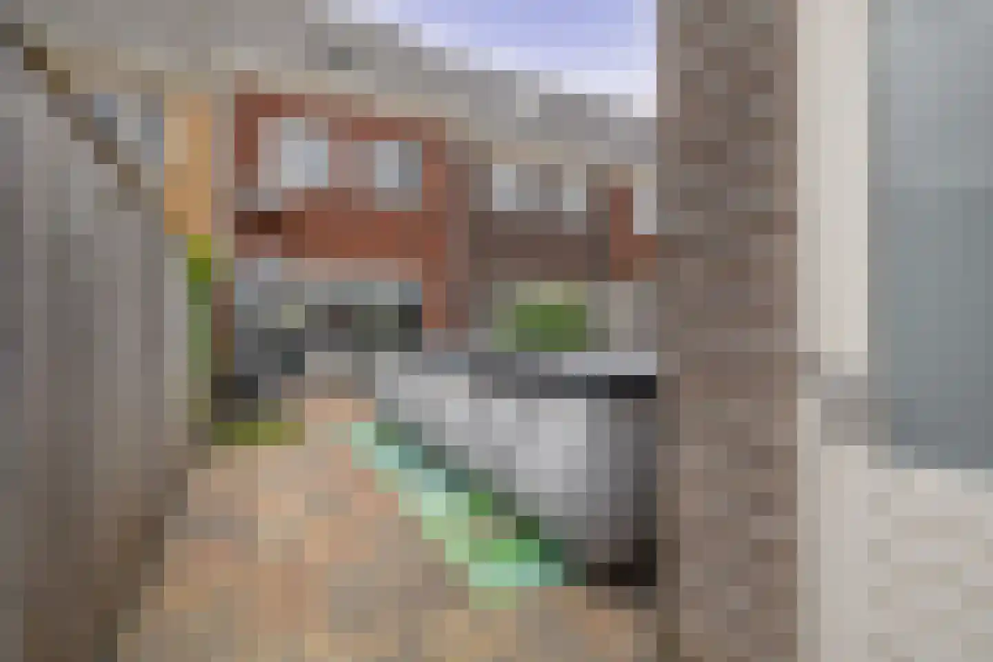 Zoetemanring 7 a Zuidland thumbnail 27