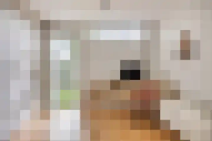 Zoetendaal 1 Elst thumbnail 18