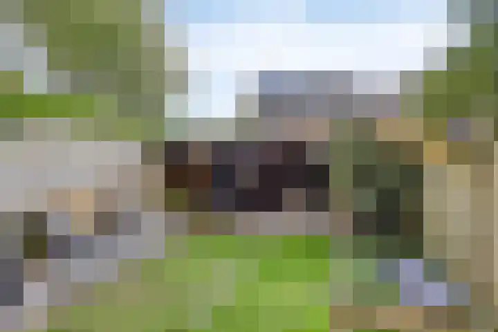 Zoetendaal 1 Elst thumbnail 23