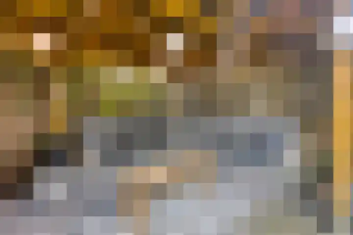 Zoetendaal 1 Elst thumbnail 25