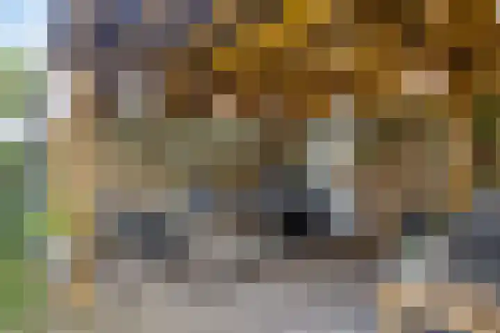 Zoetendaal 1 Elst thumbnail 26