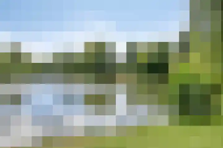 Zoetendaal 1 Elst thumbnail 28