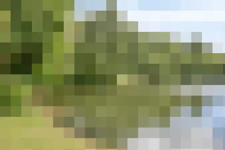 Zoetendaal 1 Elst thumbnail 29