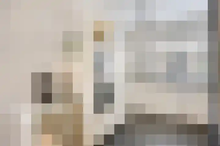 Zoetendaal 1 Elst foto 3