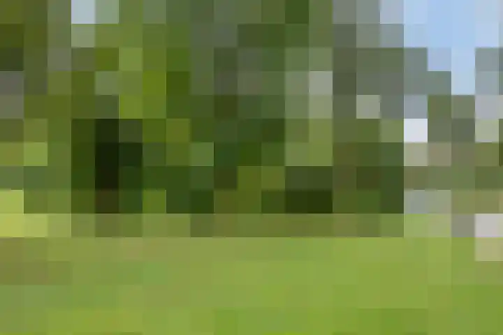 Zoetendaal 1 Elst thumbnail 30