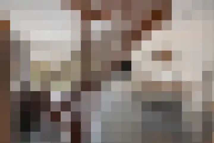 Zoetendaal 1 Elst thumbnail 8