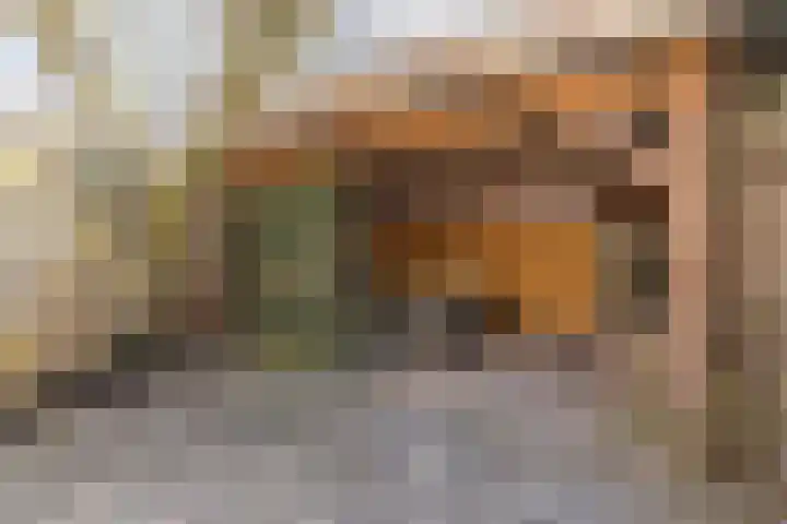 Zoetendaal 105 Elst thumbnail 30