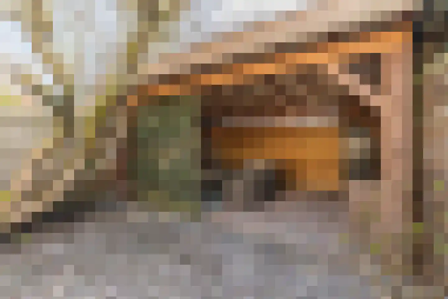 Zoetendaal 105 Elst thumbnail 30