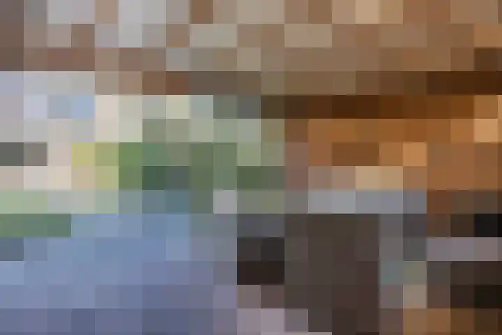 Zoetendaal 105 Elst thumbnail 31