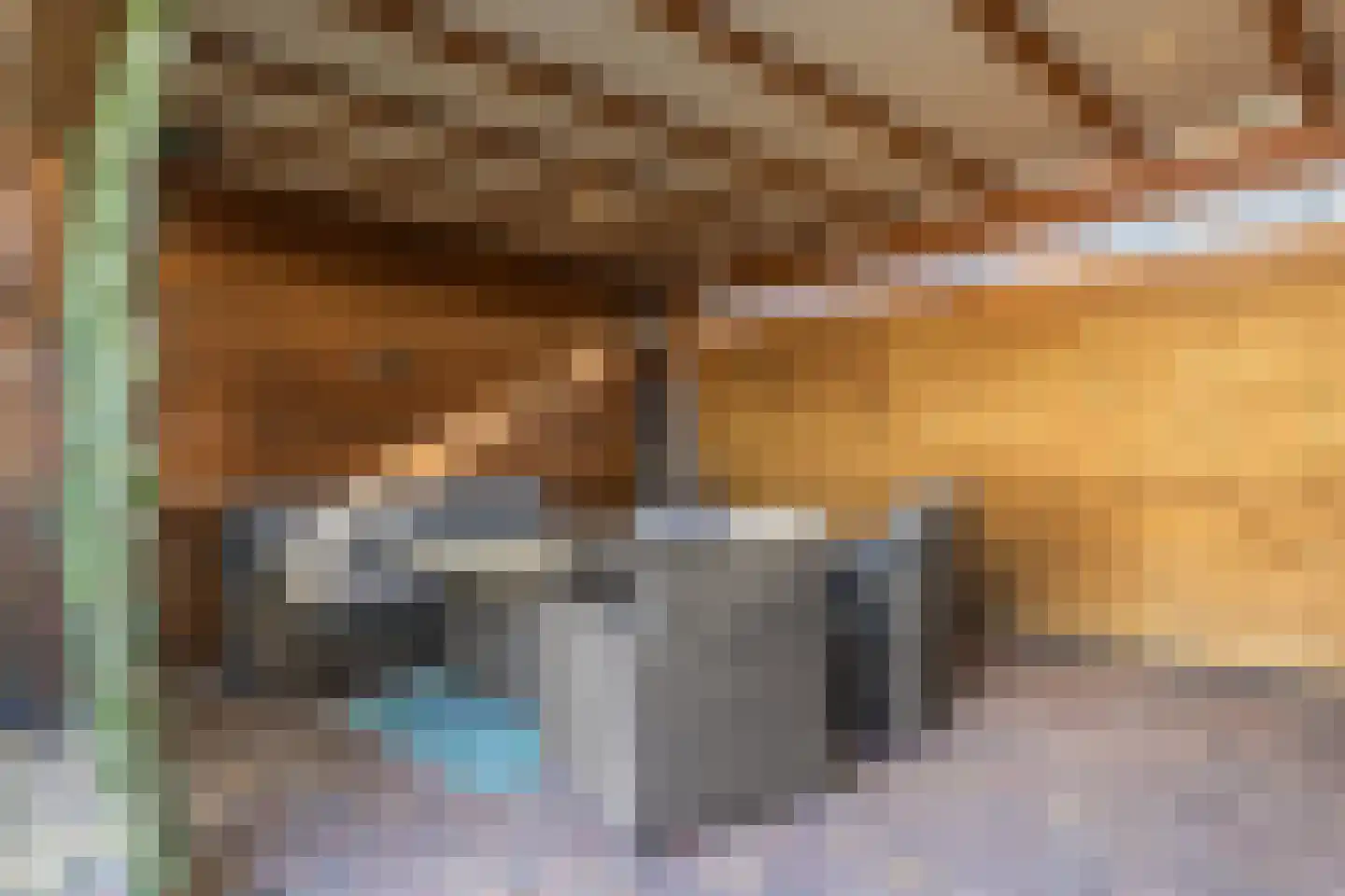 Zoetendaal 105 Elst thumbnail 32