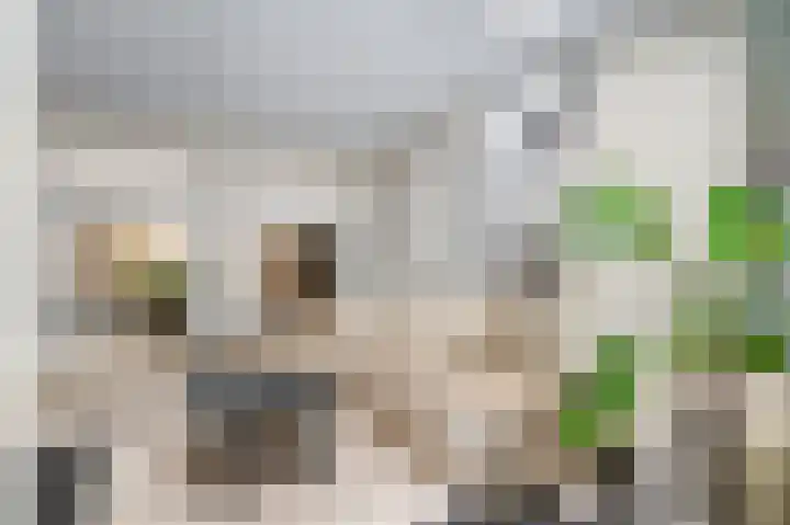 Zoetendaal 14 Buren thumbnail 11