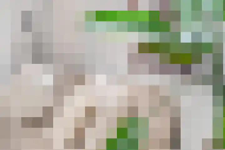 Zoetendaal 14 Buren thumbnail 12