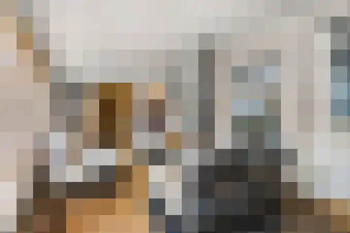 Zoetendaal 14 Buren thumbnail 14
