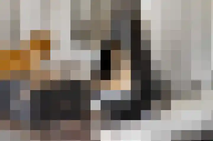 Zoetendaal 14 Buren thumbnail 15