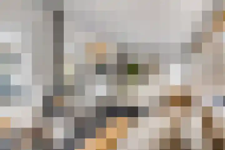 Zoetendaal 14 Buren thumbnail 16