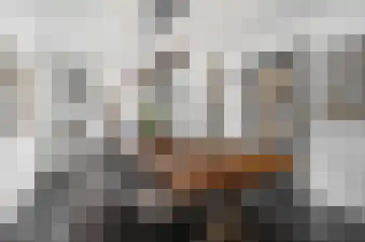 Zoetendaal 14 Buren thumbnail 21
